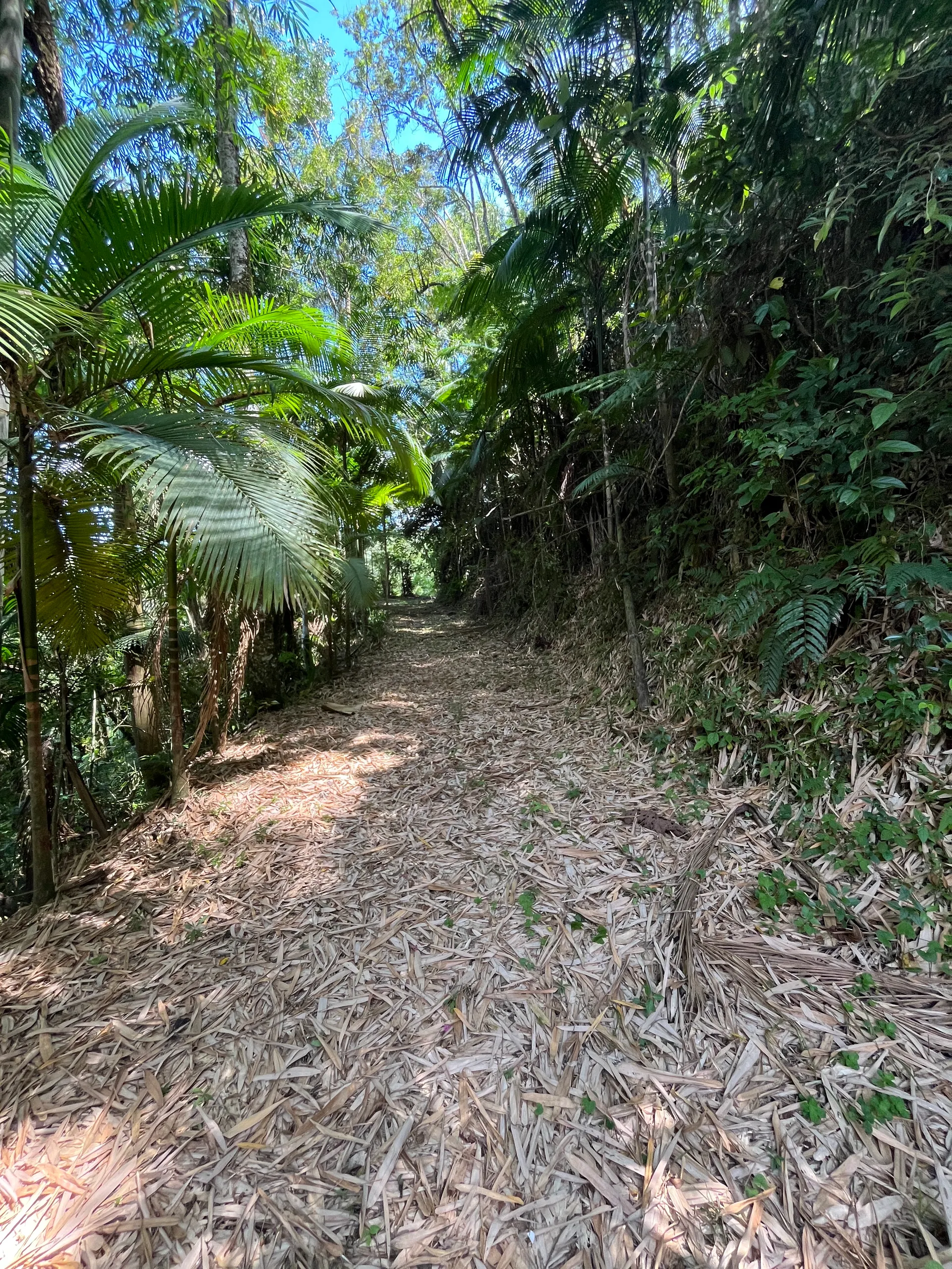 Sítio à venda de 3 ha em Tapiraí, SP, Brasil