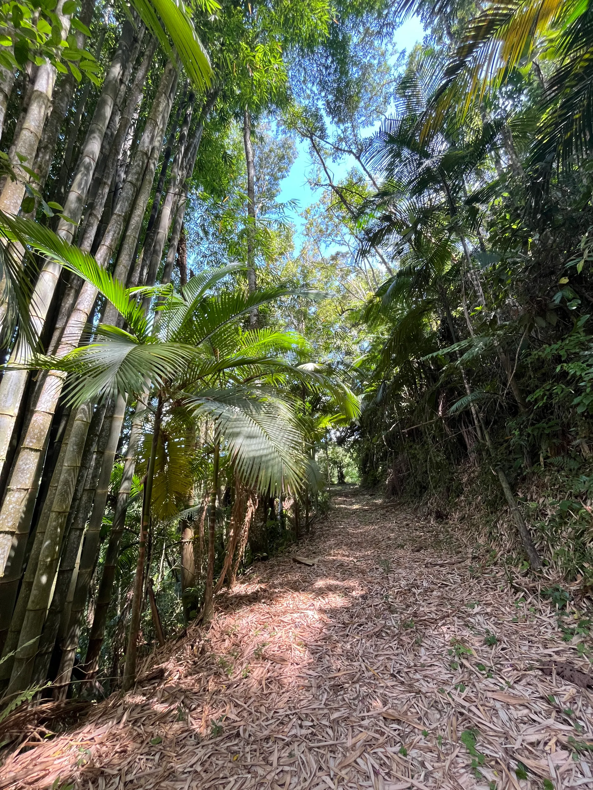 Sítio à venda de 3 ha em Tapiraí, SP, Brasil