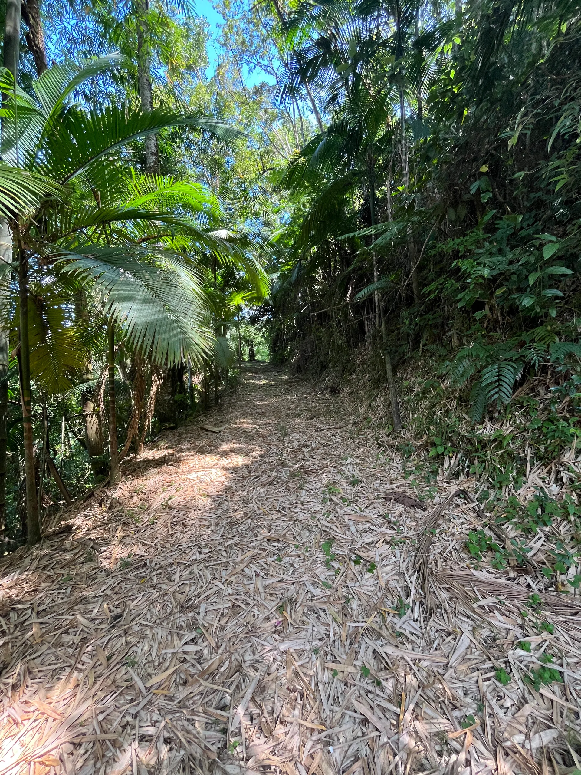 Sítio à venda de 3 ha em Tapiraí, SP, Brasil