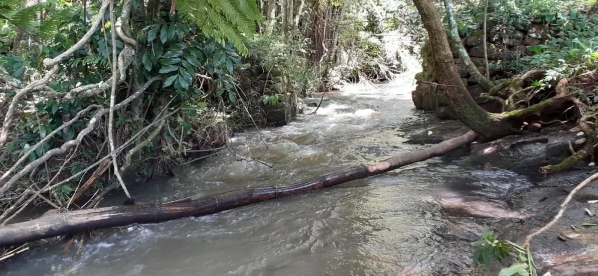 Sítio à venda de 5 ha em Santo Antônio da Alegria, SP, Brasil