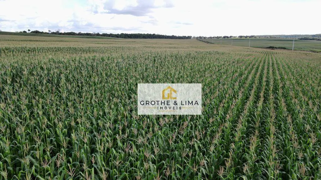 Farm for sale of 1,750 acres in Paraíso do Tocantins, TO, Brazil