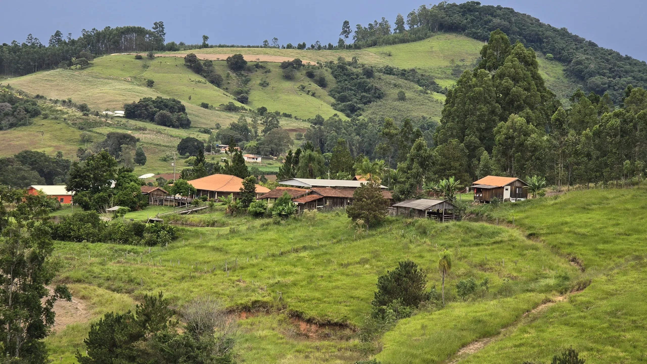 Chácara à venda de 9 ha em Tomazina, PR, Brasil