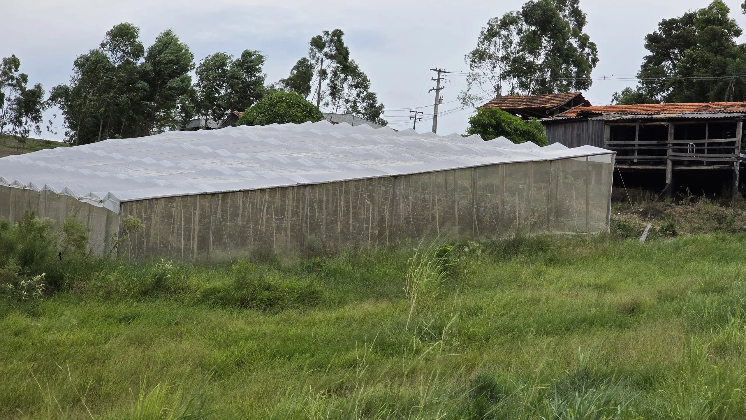 Chácara à venda de 9 ha em Tomazina, PR, Brasil