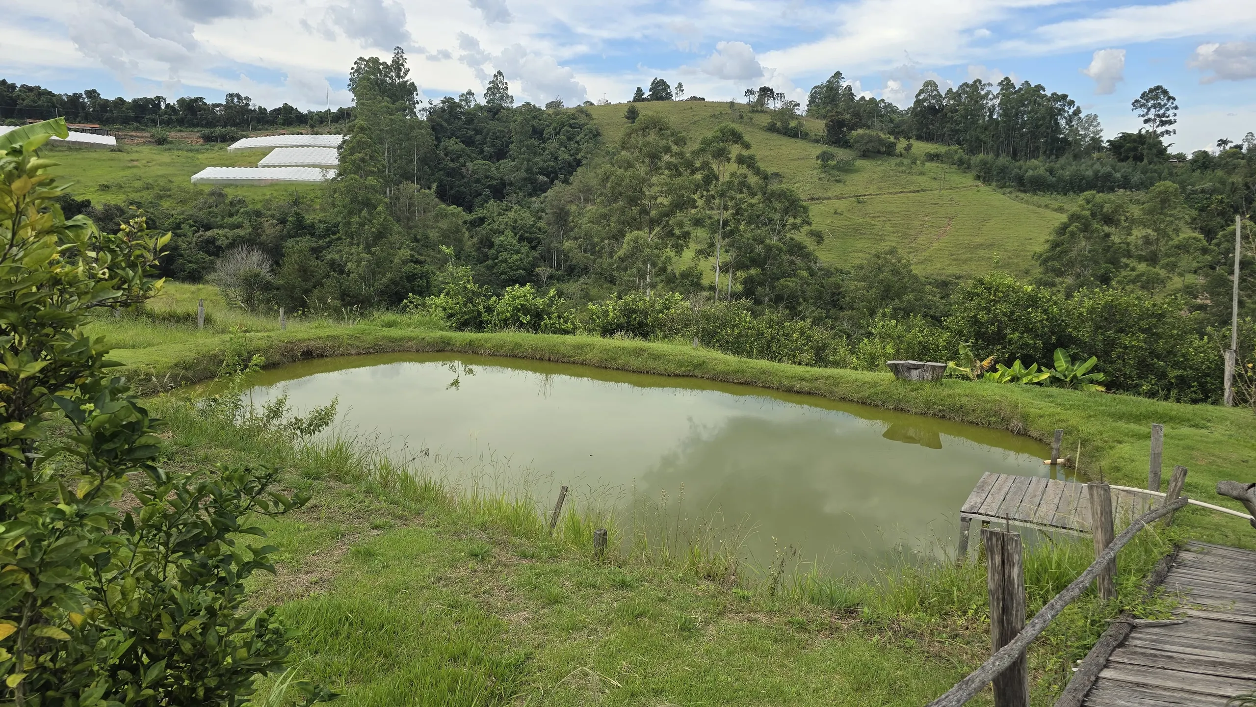 Chácara à venda de 9 ha em Tomazina, PR, Brasil