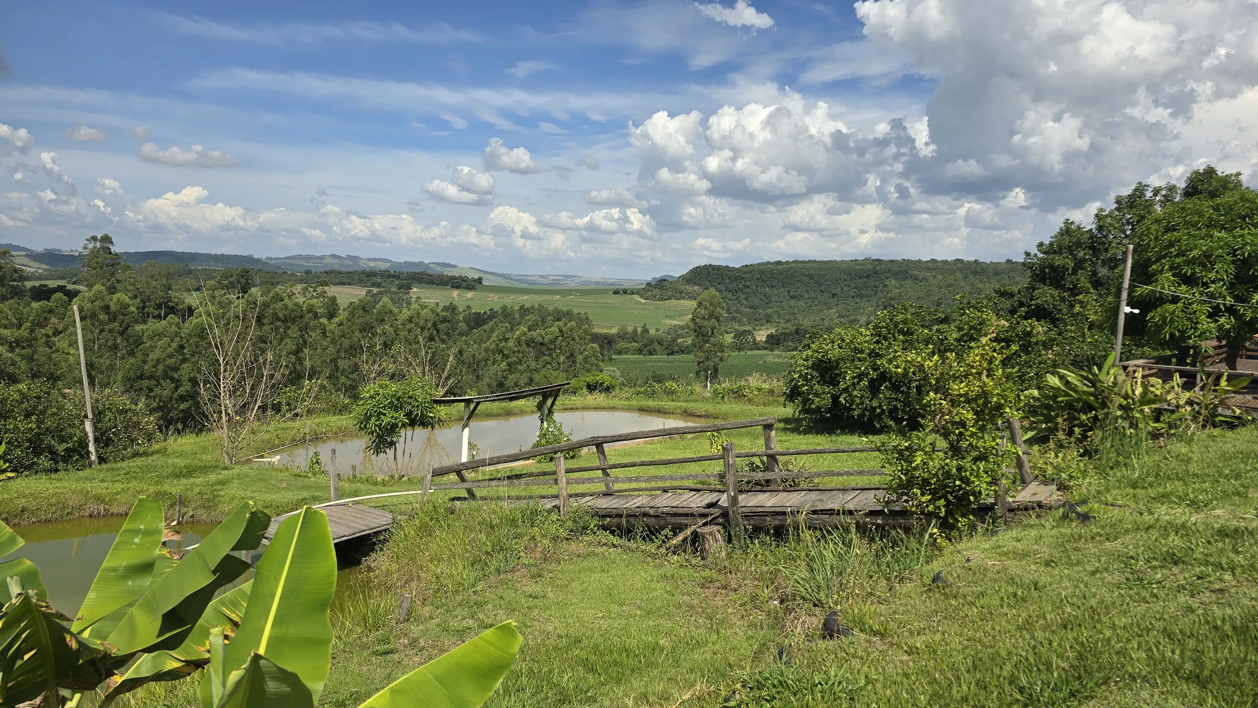 Chácara à venda de 9 ha em Tomazina, PR, Brasil