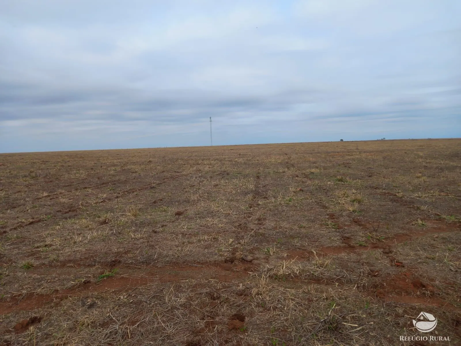 Fazenda à venda de 600 ha em Jaciara, MT, Brasil