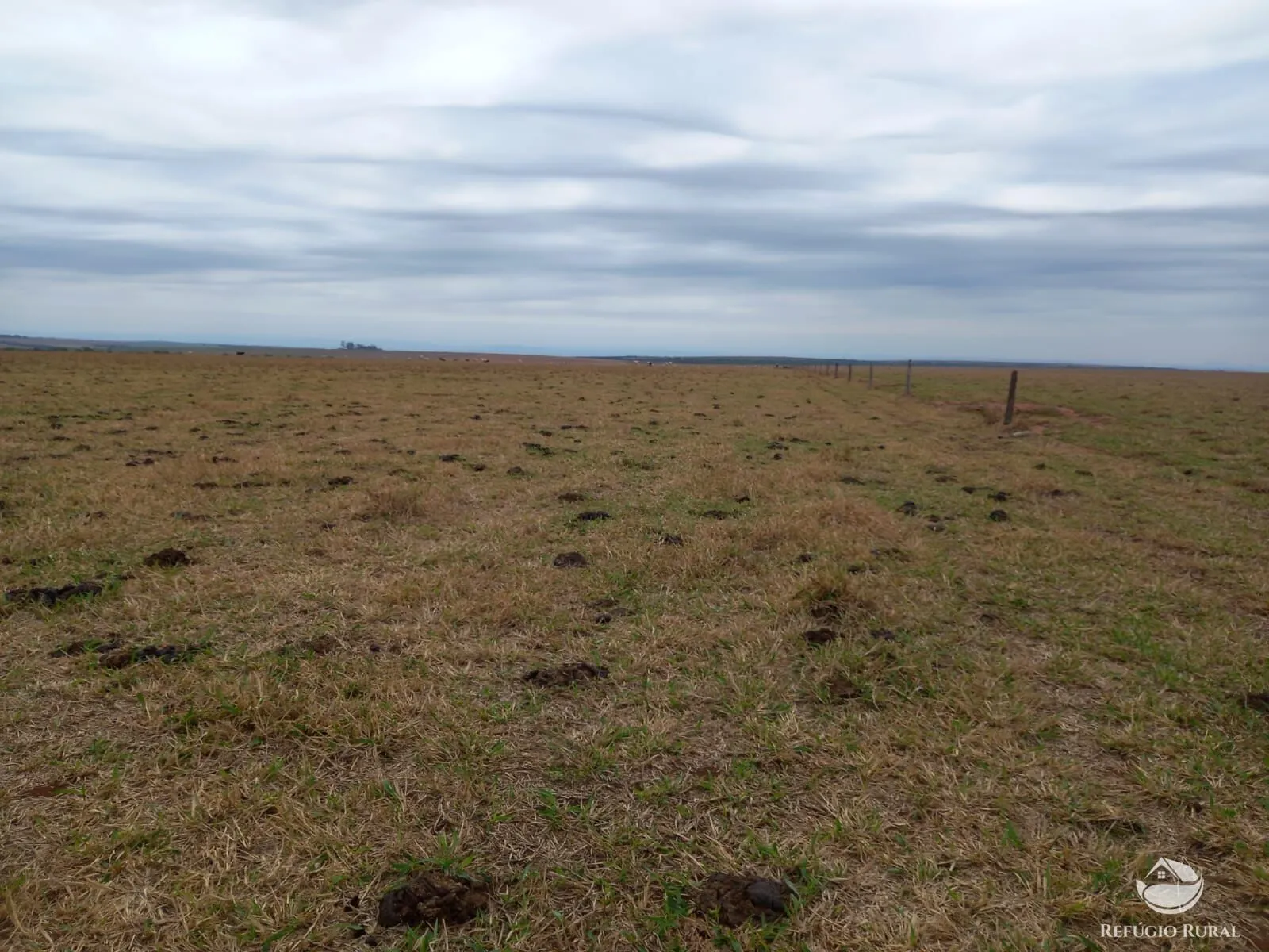 Fazenda à venda de 600 ha em Jaciara, MT, Brasil