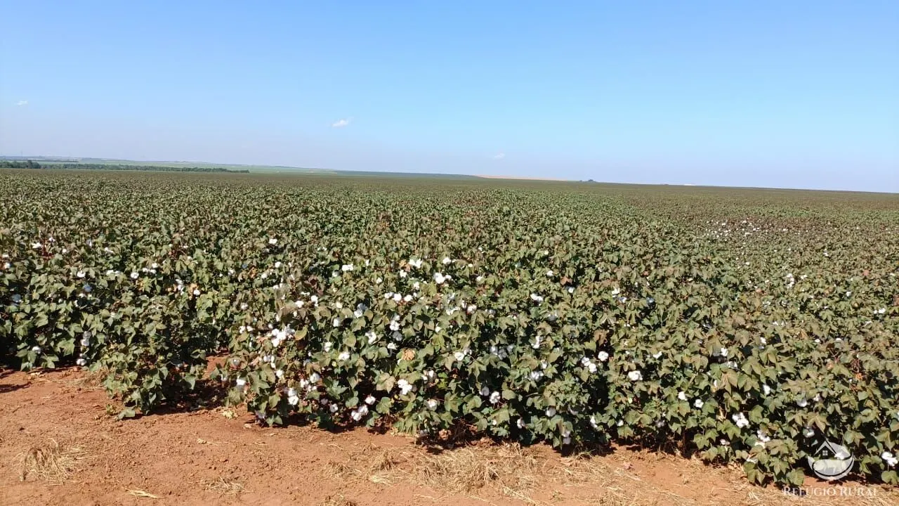 Fazenda à venda de 600 ha em Jaciara, MT, Brasil