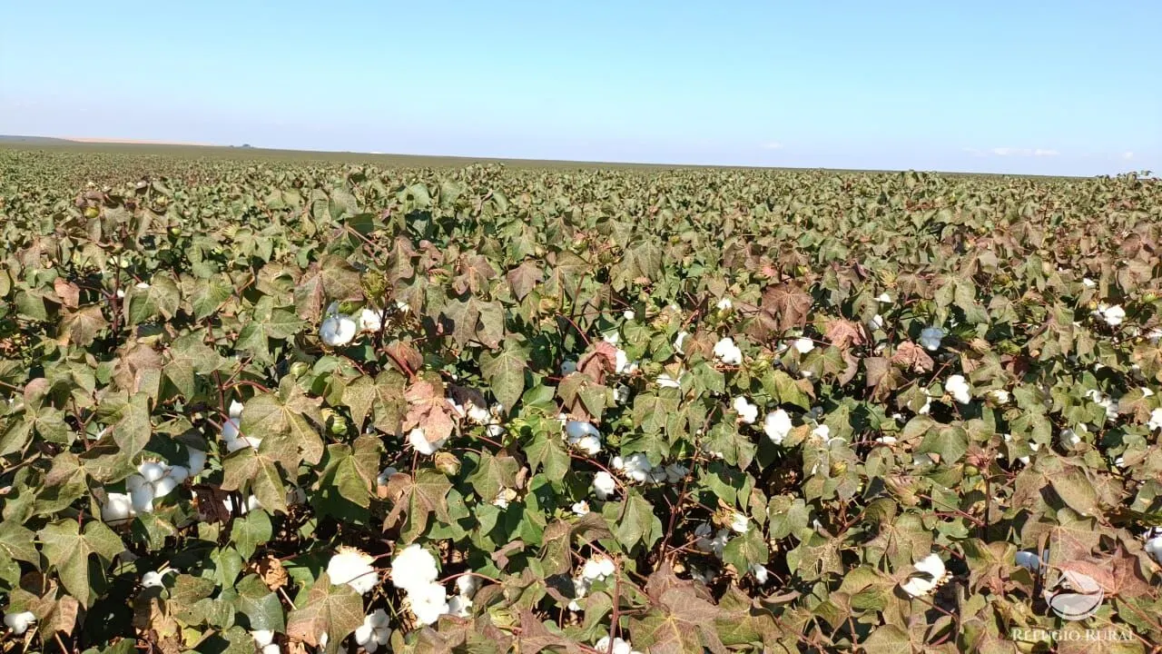 Fazenda à venda de 600 ha em Jaciara, MT, Brasil