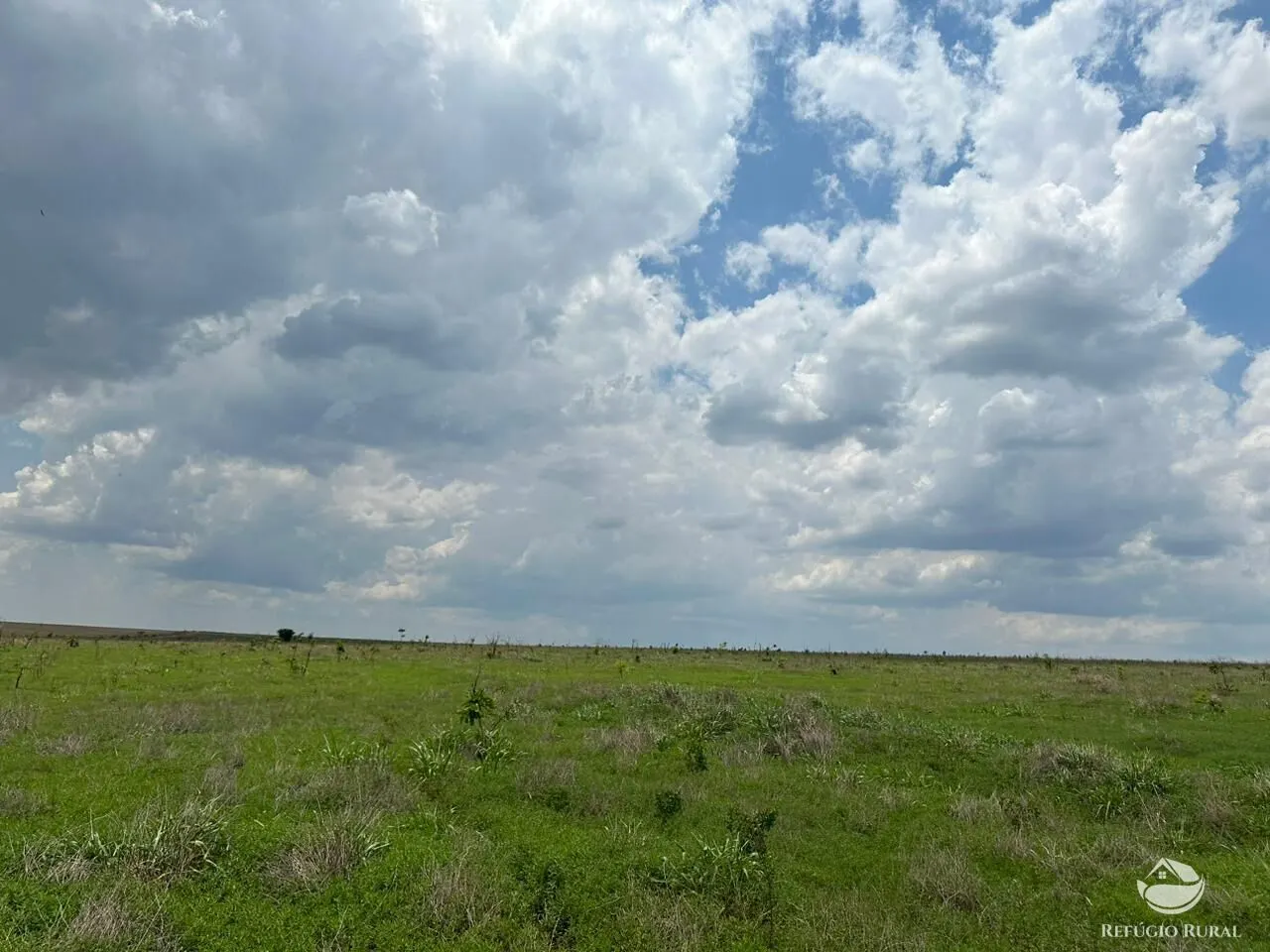 Fazenda à venda de 600 ha em Jaciara, MT, Brasil