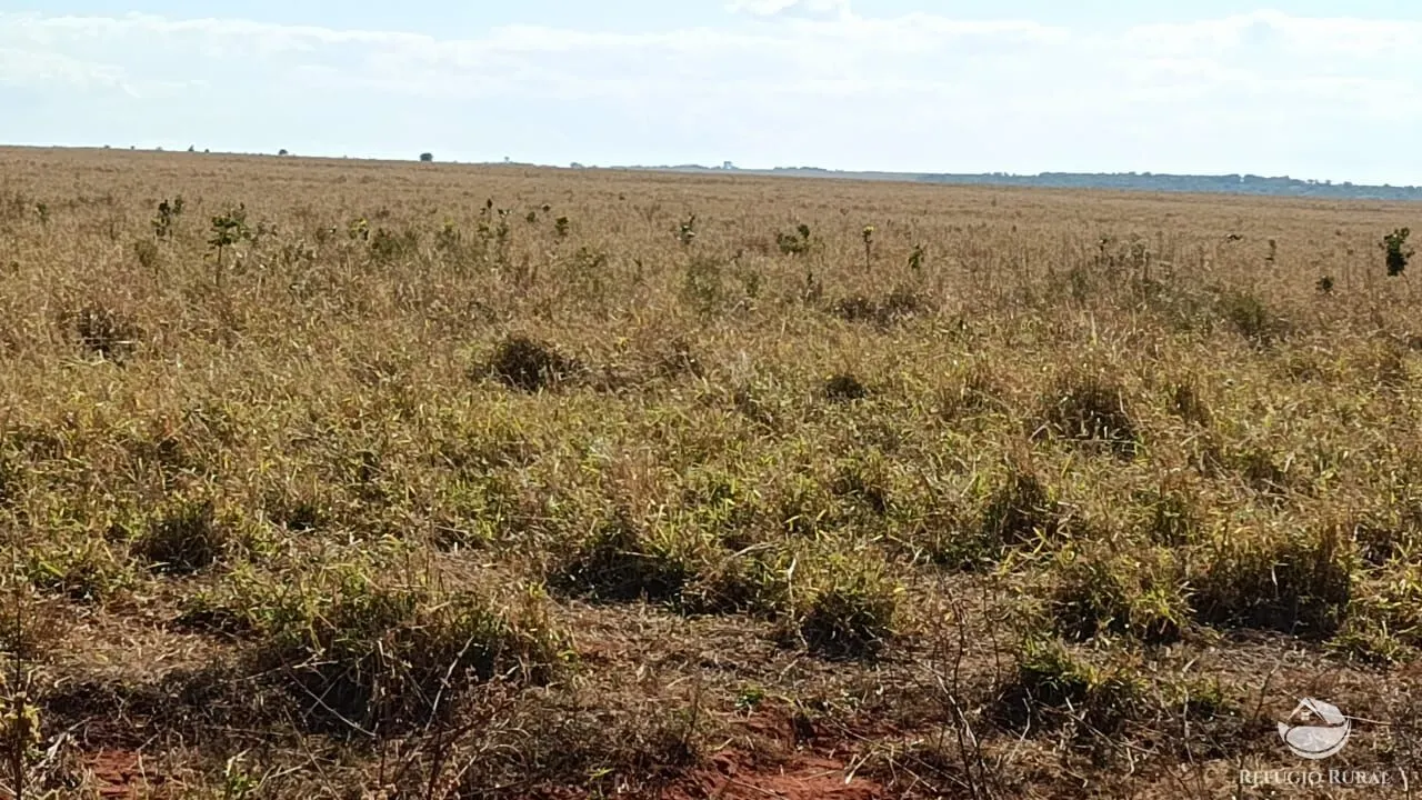 Fazenda à venda de 600 ha em Jaciara, MT, Brasil