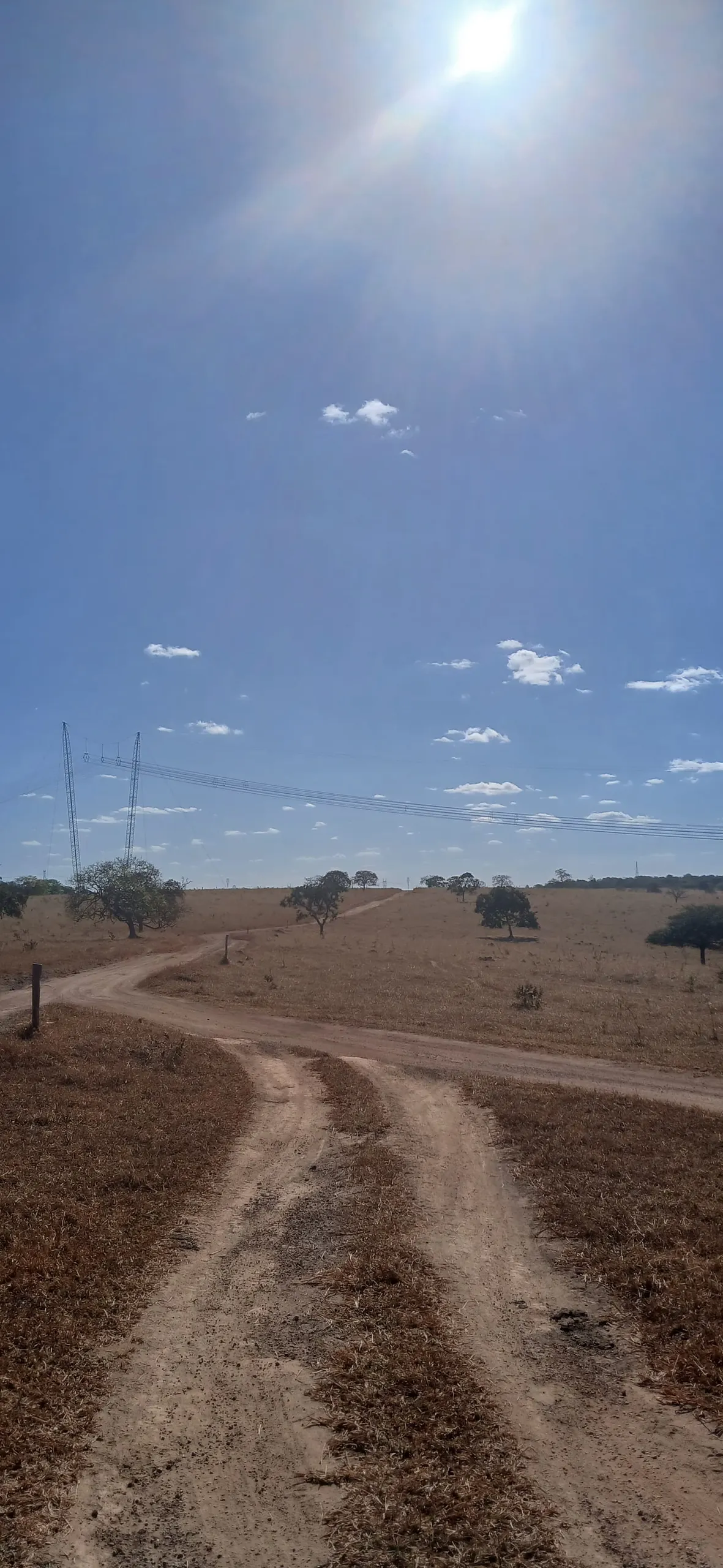 Fazenda para Arrendar de 232 ha em Luziânia, GO, Brasil