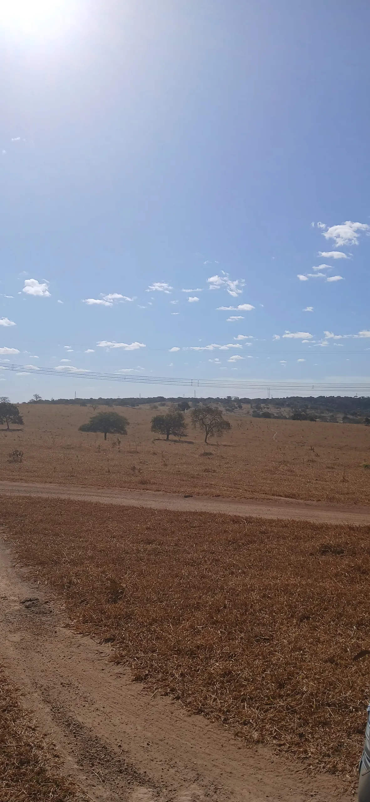 Fazenda para Arrendar de 232 ha em Luziânia, GO, Brasil
