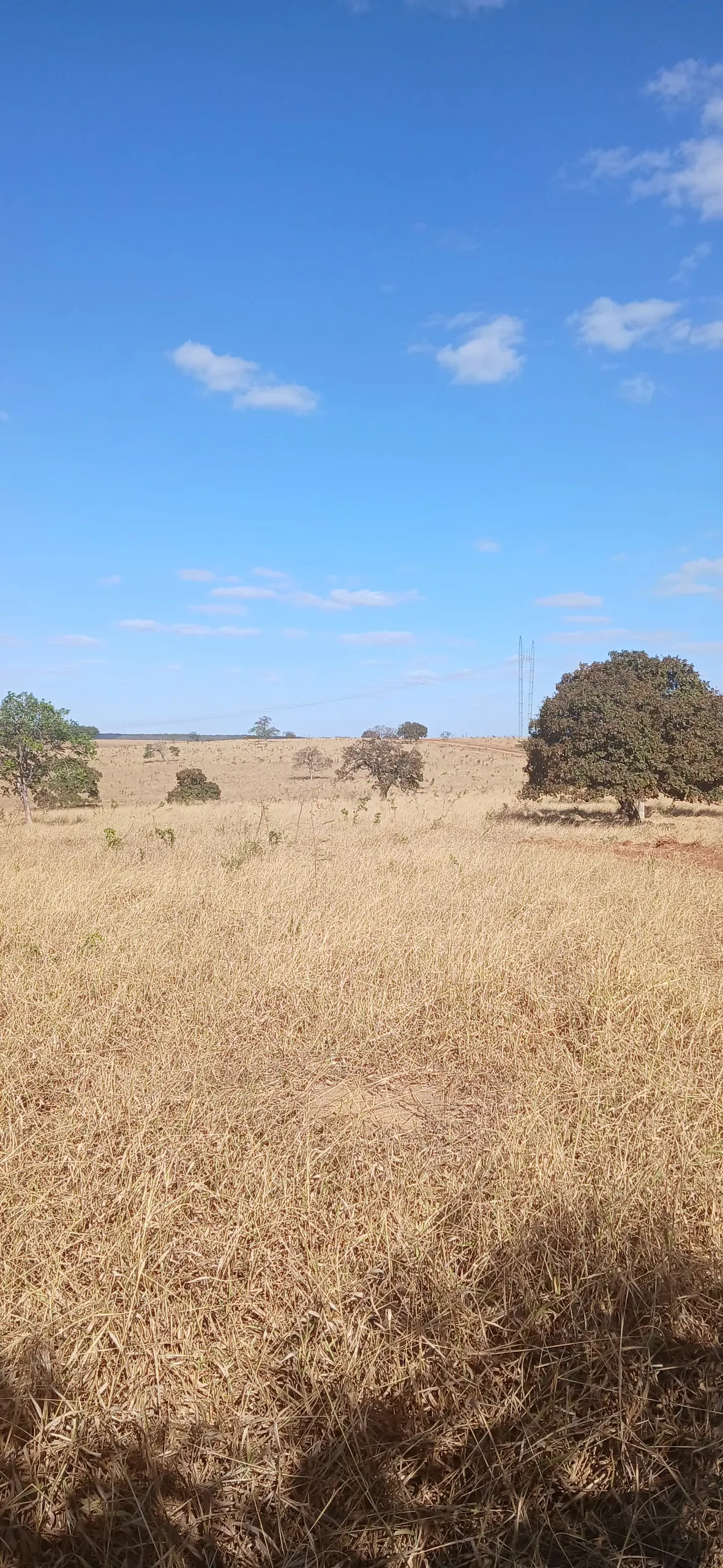 Fazenda para Arrendar de 232 ha em Luziânia, GO, Brasil