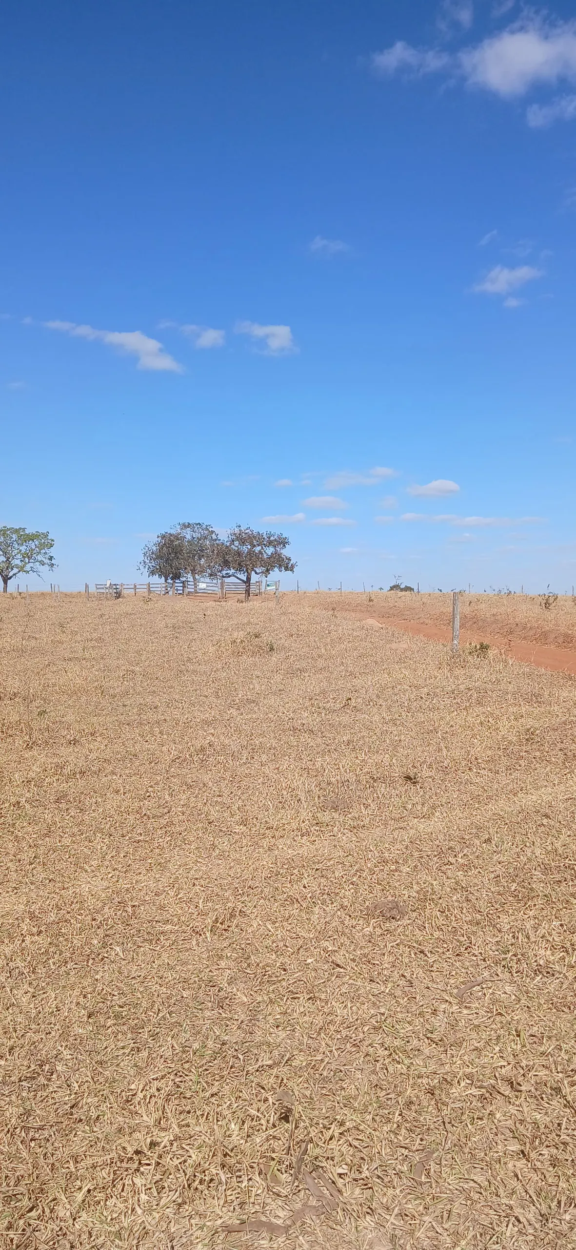 Fazenda para Arrendar de 232 ha em Luziânia, GO, Brasil