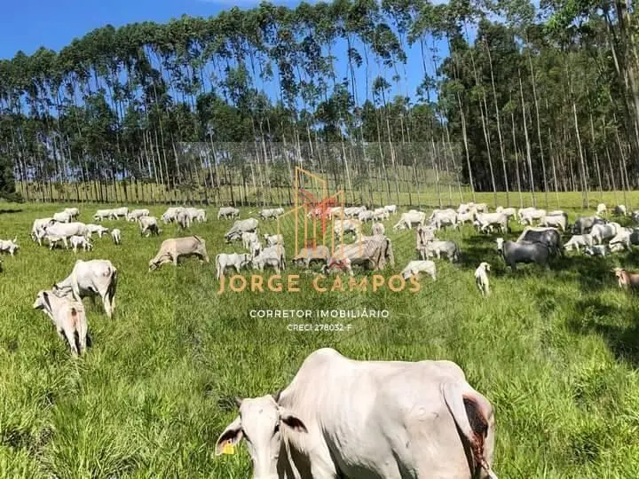 Fazenda à venda de 320 ha em Guaratinguetá, SP, Brasil