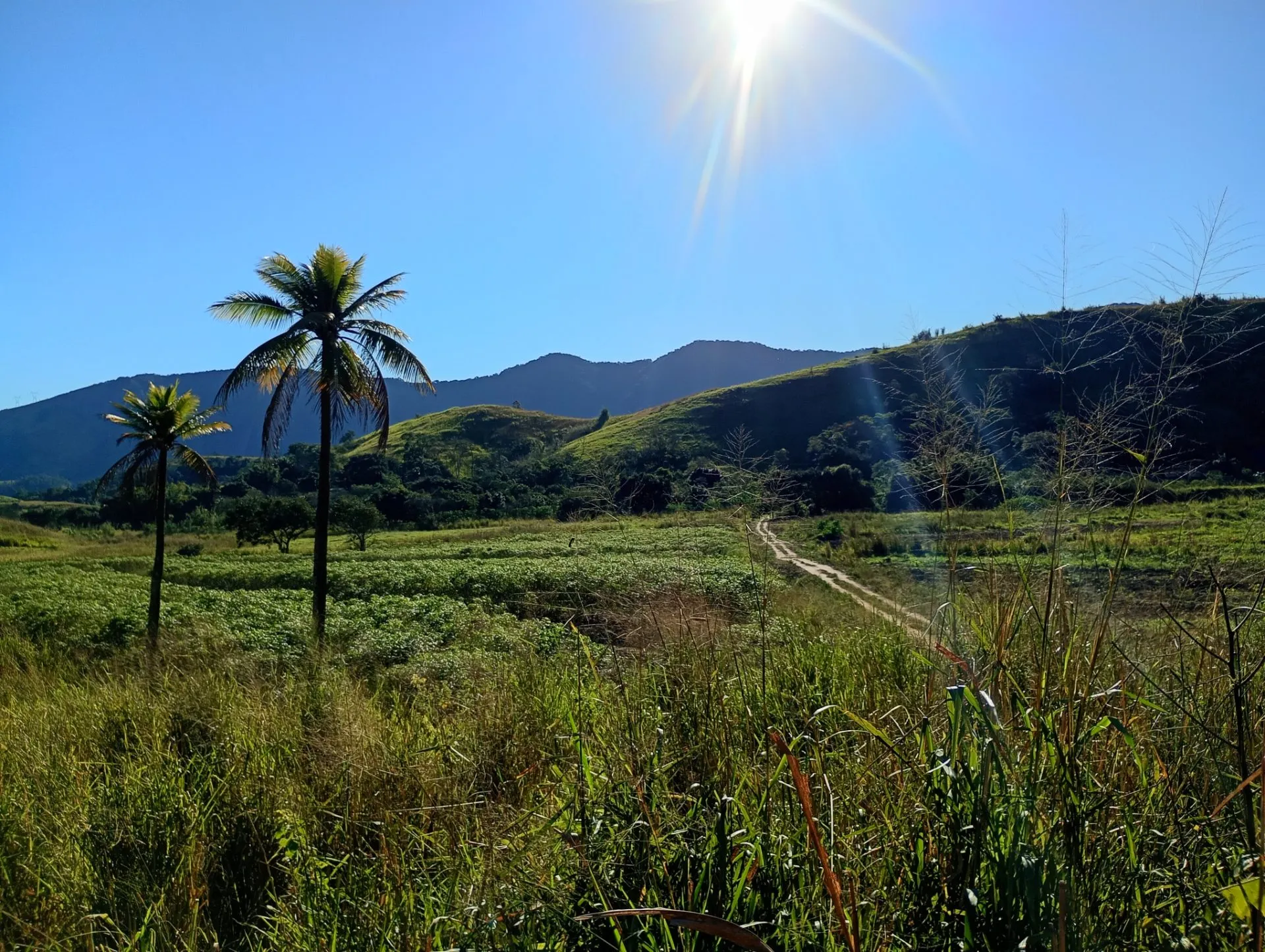 Small farm for sale of 49 acres in Japeri, RJ, Brazil