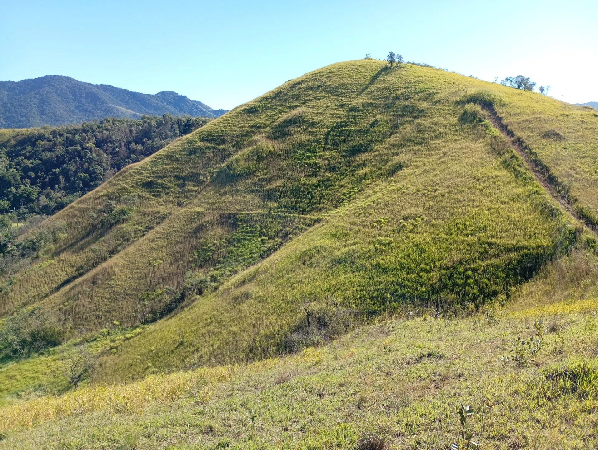 Small farm for sale of 49 acres in Japeri, RJ, Brazil