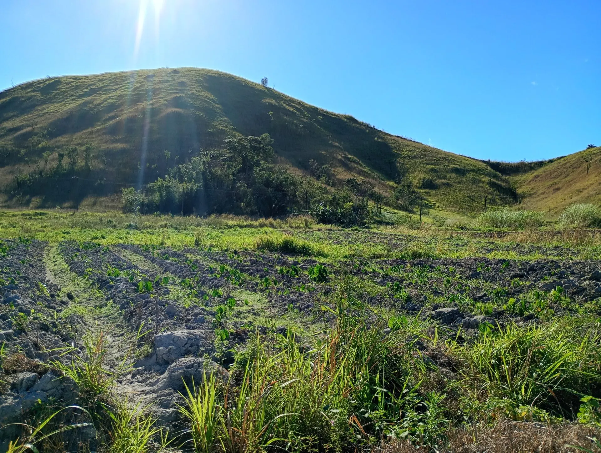 Sítio à venda de 20 ha em Japeri, RJ, Brasil