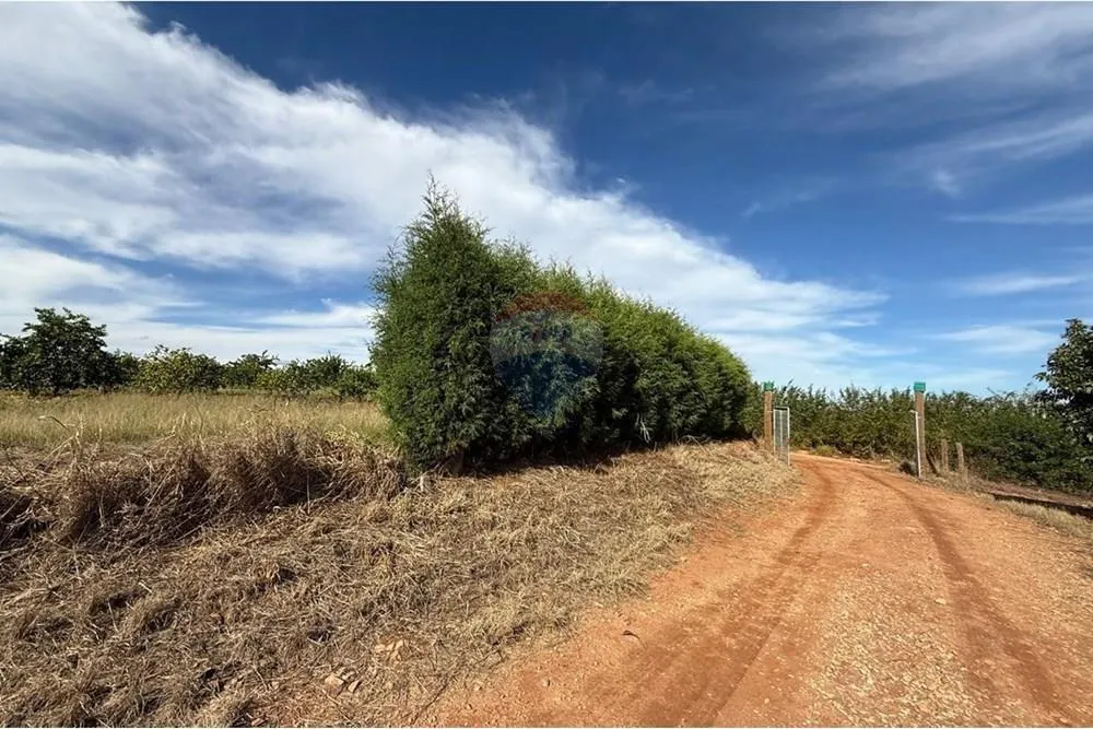 Small farm for sale of 16 acres in Itapira, SP, Brazil