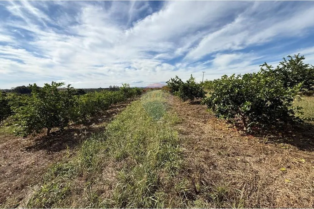 Small farm for sale of 16 acres in Itapira, SP, Brazil