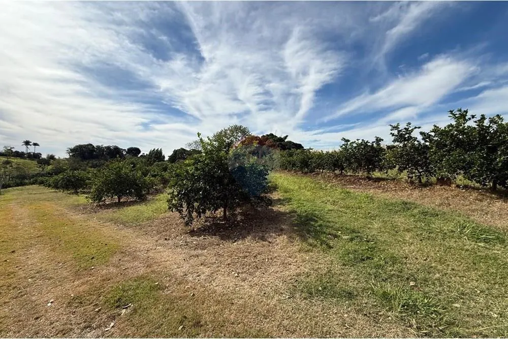 Small farm for sale of 16 acres in Itapira, SP, Brazil