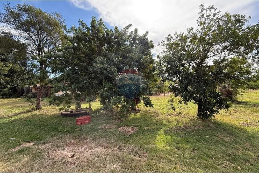 Small farm for sale of 16 acres in Itapira, SP, Brazil