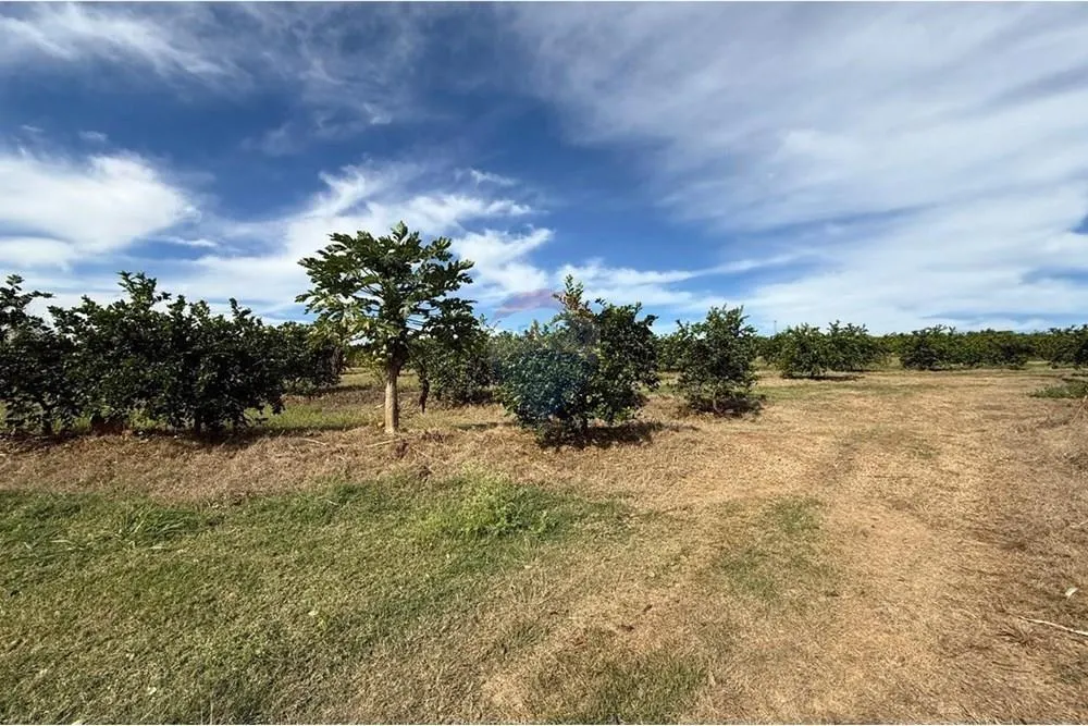 Small farm for sale of 16 acres in Itapira, SP, Brazil
