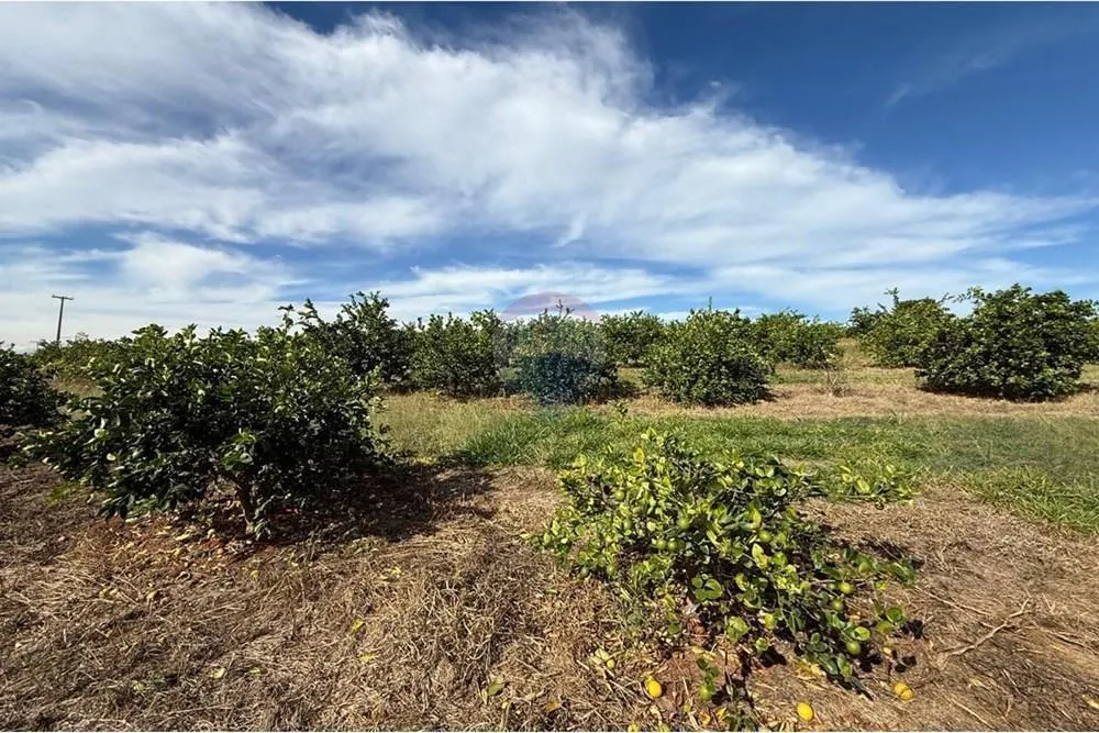 Small farm for sale of 16 acres in Itapira, SP, Brazil