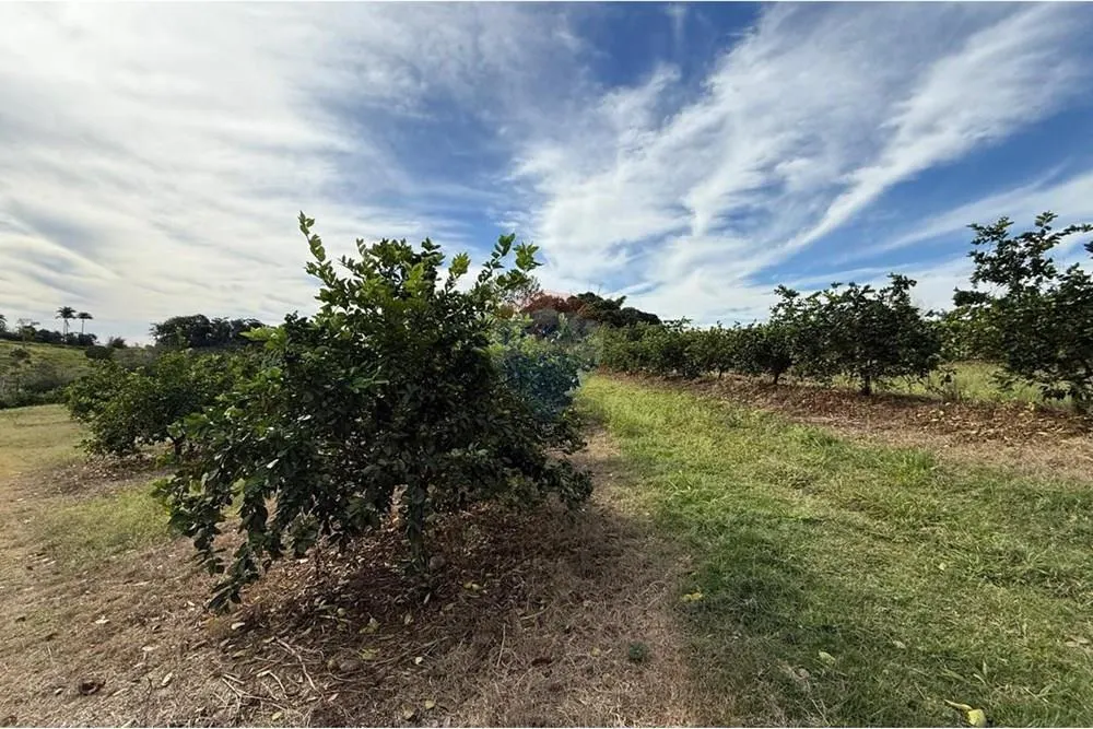 Small farm for sale of 16 acres in Itapira, SP, Brazil