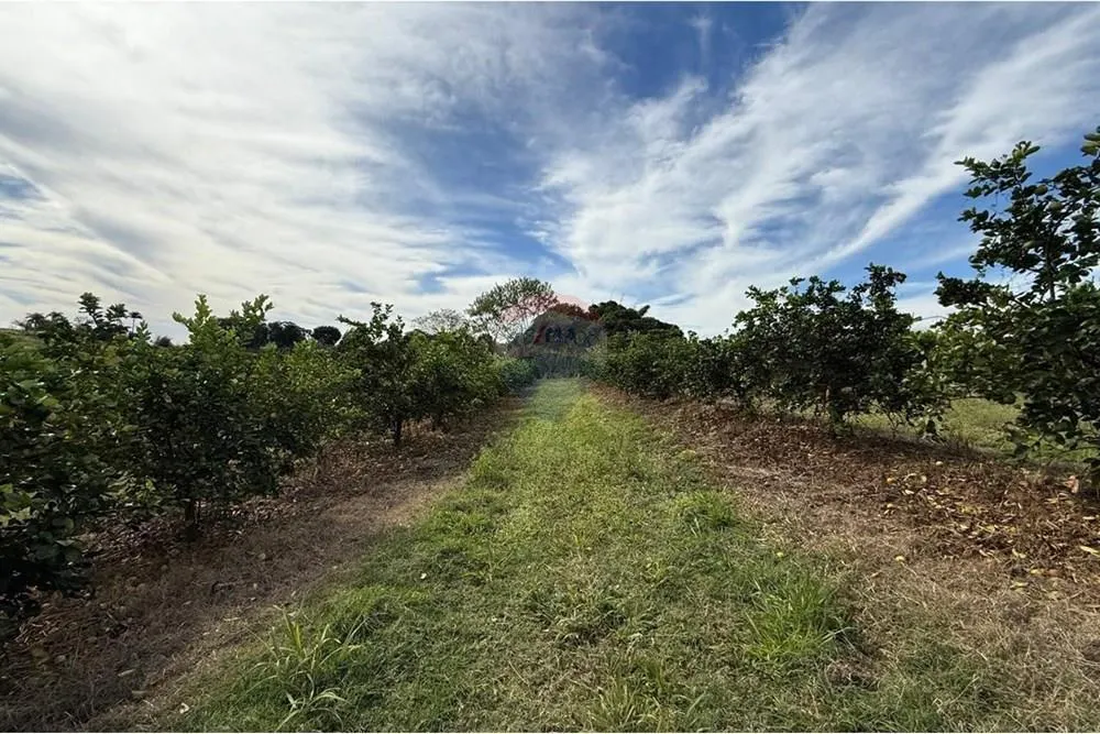 Small farm for sale of 16 acres in Itapira, SP, Brazil