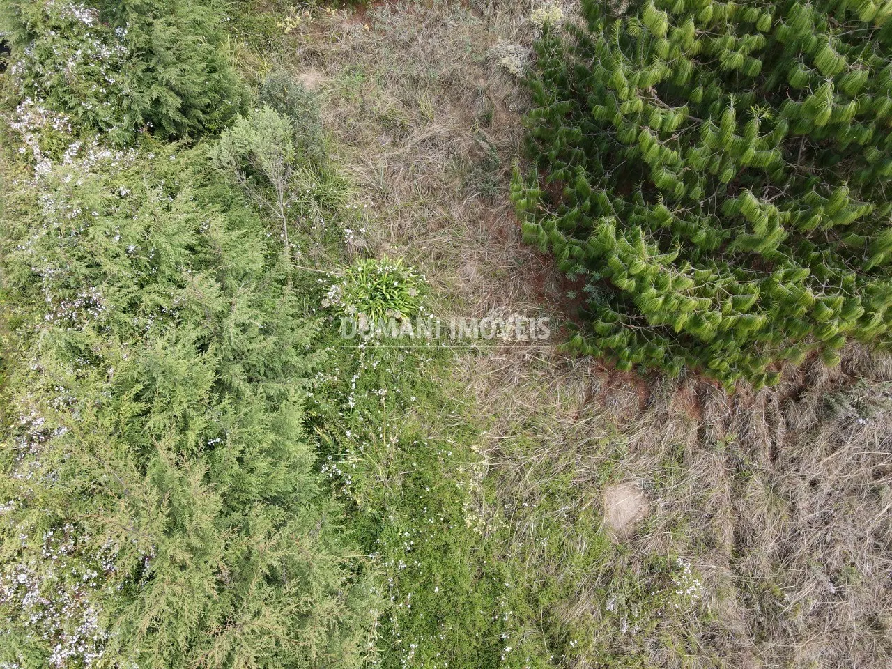 Terreno à venda de 752 m² em Campos do Jordão, SP, Brasil