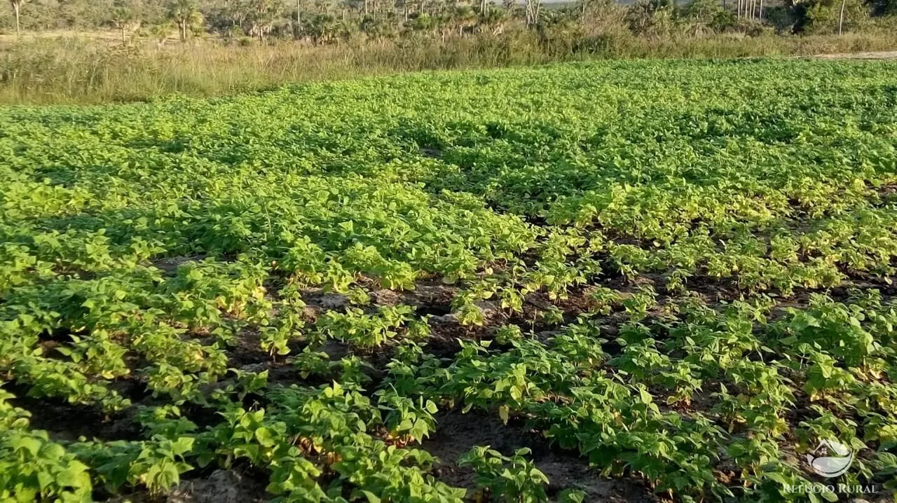 Fazenda à venda de 10.000 ha em Bonito de Minas, MG, Brasil
