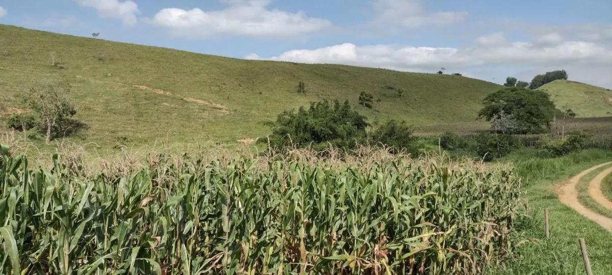 Fazenda à venda de 150 ha em Arapeí, SP, Brasil
