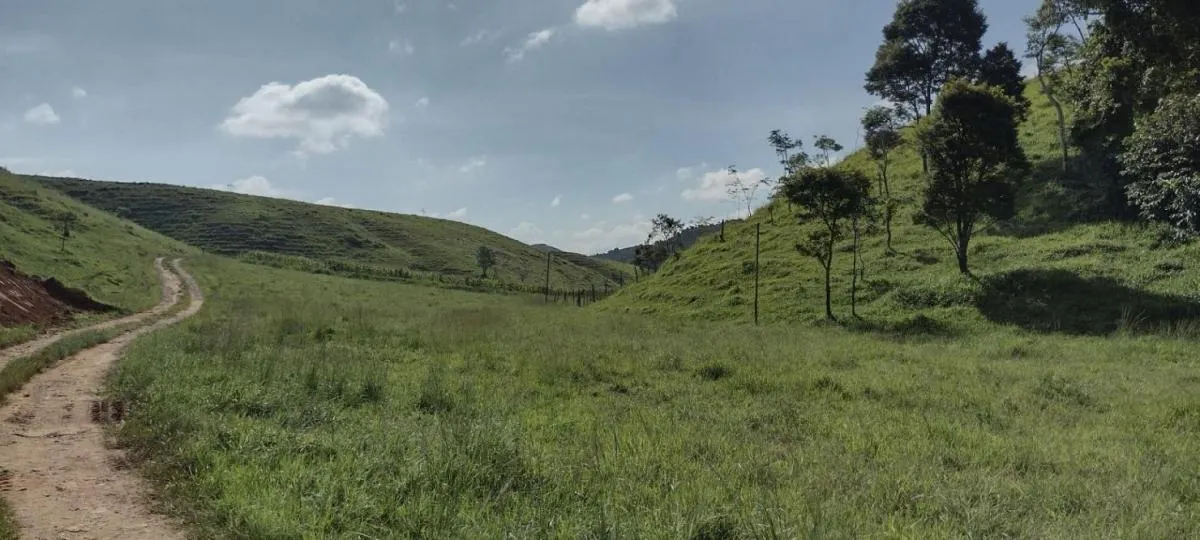 Fazenda à venda de 150 ha em Arapeí, SP, Brasil