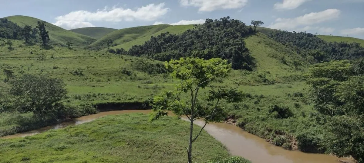 Fazenda à venda de 150 ha em Arapeí, SP, Brasil