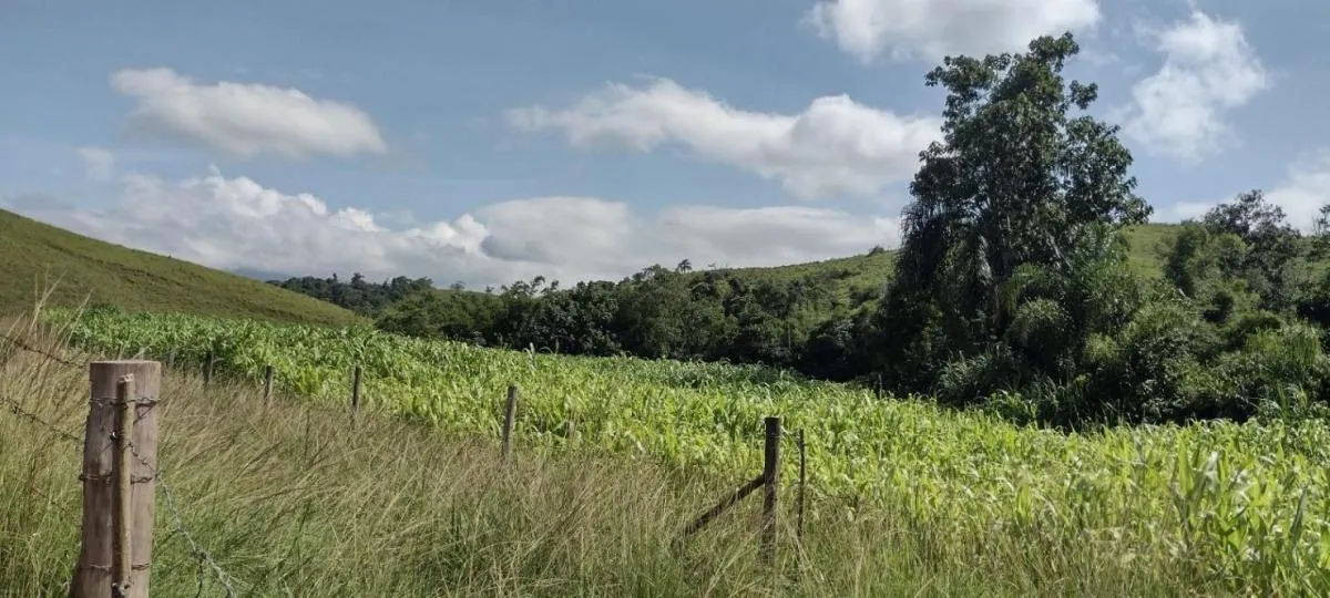 Fazenda à venda de 150 ha em Arapeí, SP, Brasil