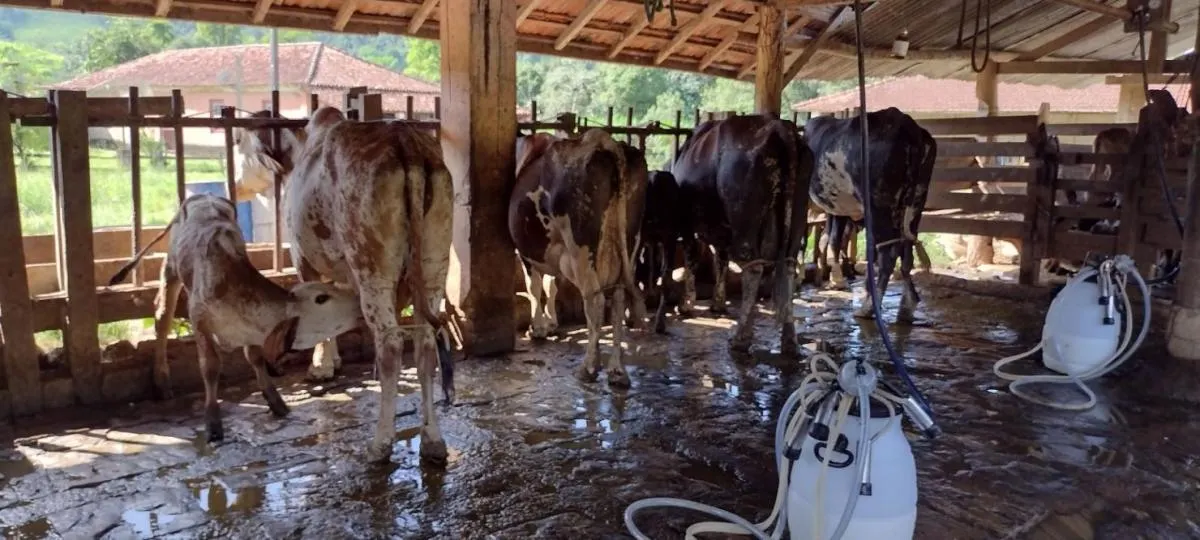 Fazenda à venda de 150 ha em Arapeí, SP, Brasil