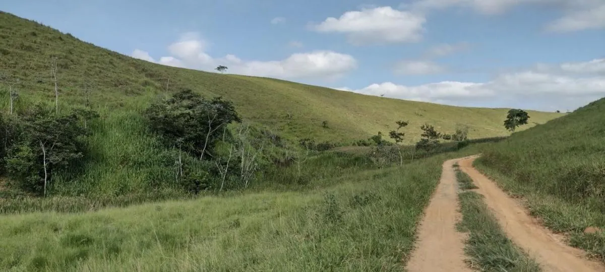 Fazenda à venda de 150 ha em Arapeí, SP, Brasil