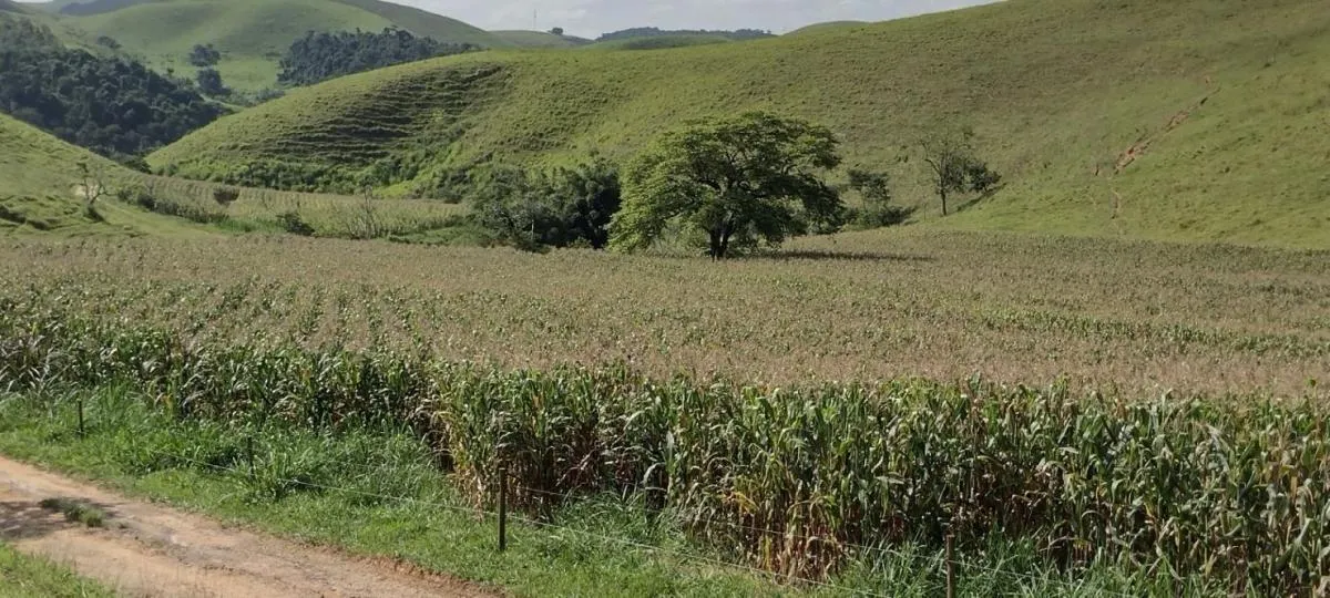 Fazenda à venda de 150 ha em Arapeí, SP, Brasil