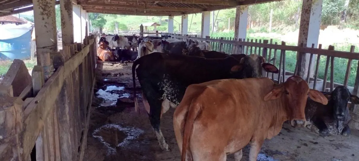 Fazenda à venda de 150 ha em Arapeí, SP, Brasil
