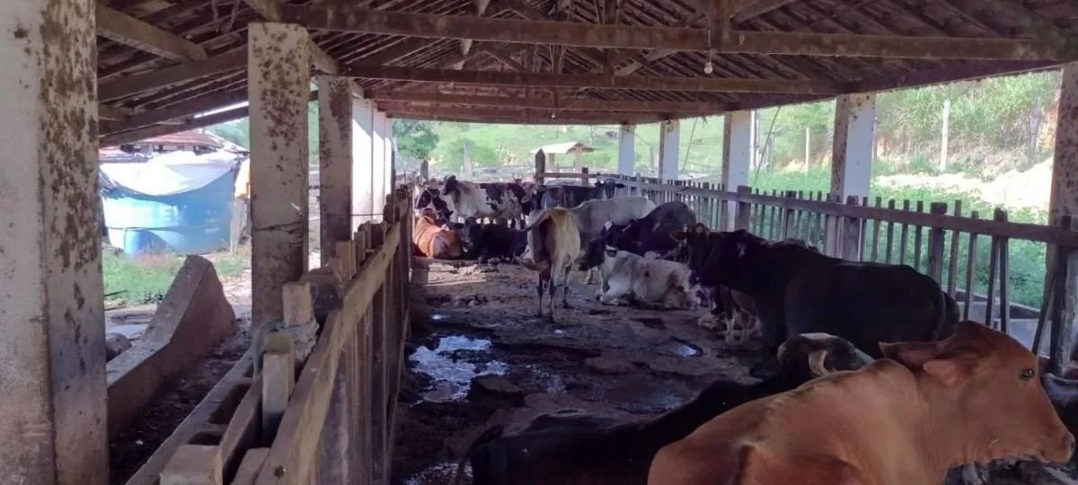 Fazenda à venda de 150 ha em Arapeí, SP, Brasil