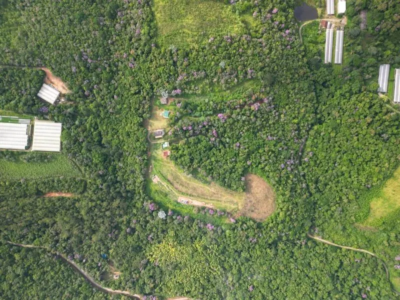 Small farm for sale of 28 acres in São Lourenço da Serra, SP, Brazil