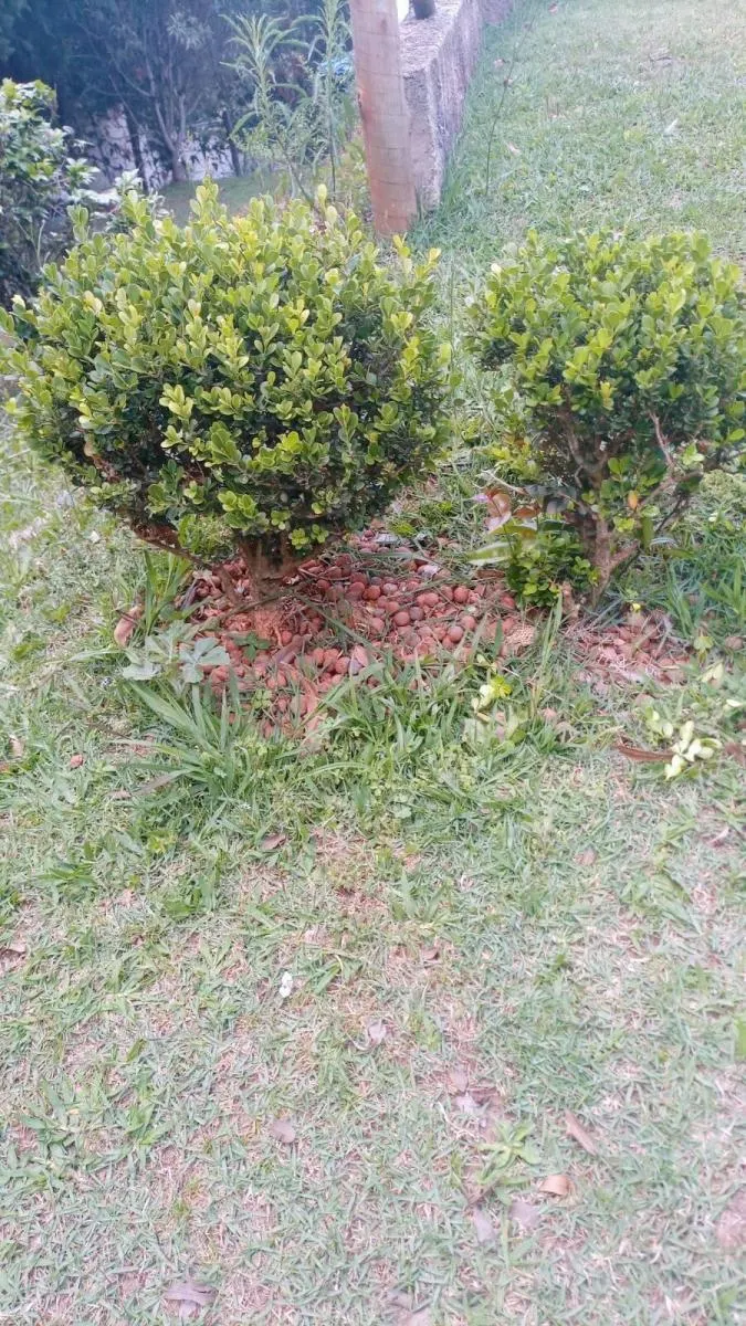 Chácara à venda de 3.100 m² em Jarinu, SP, Brasil