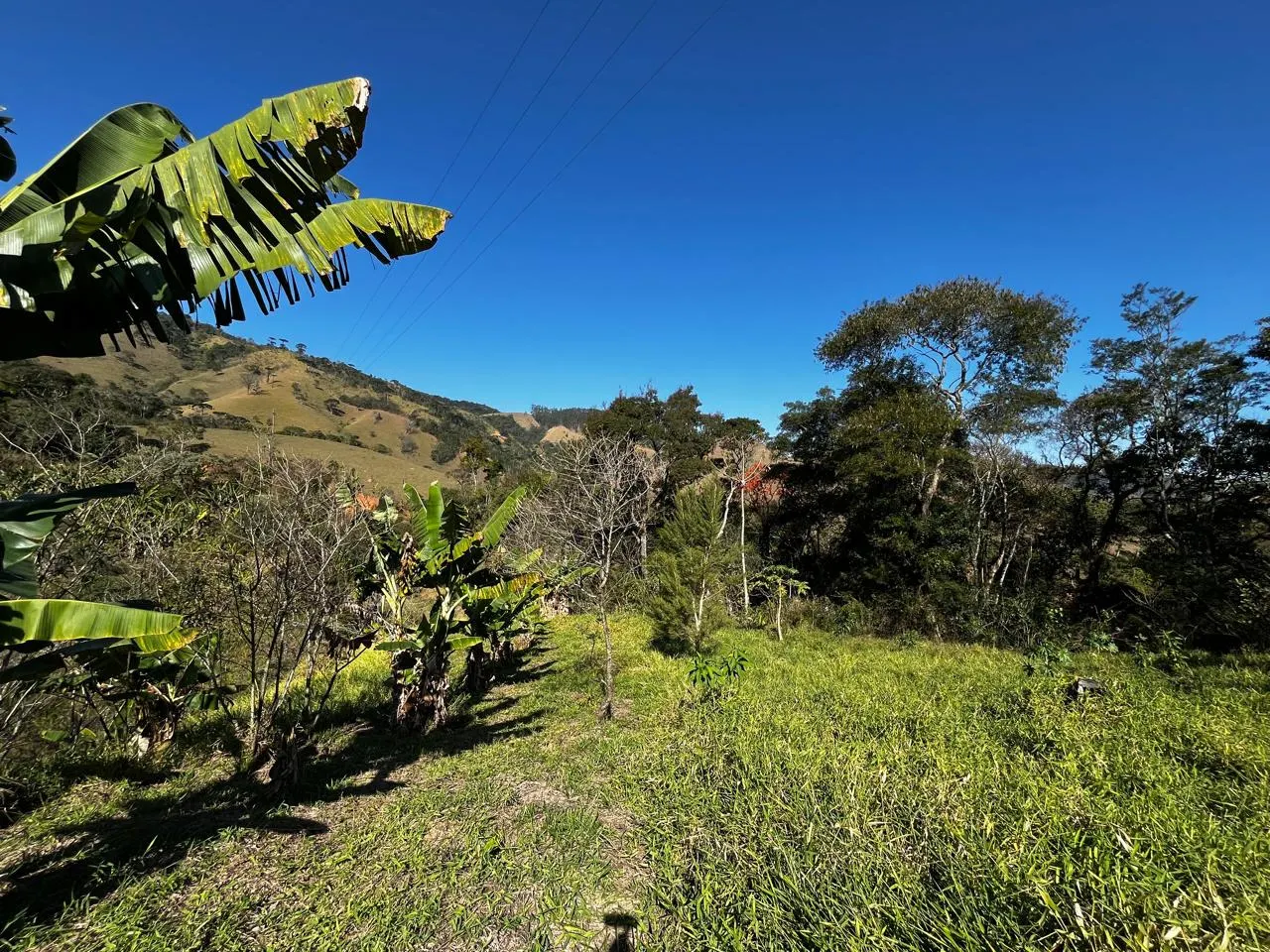 Sítio à venda de 5 ha em Monteiro Lobato, SP, Brasil