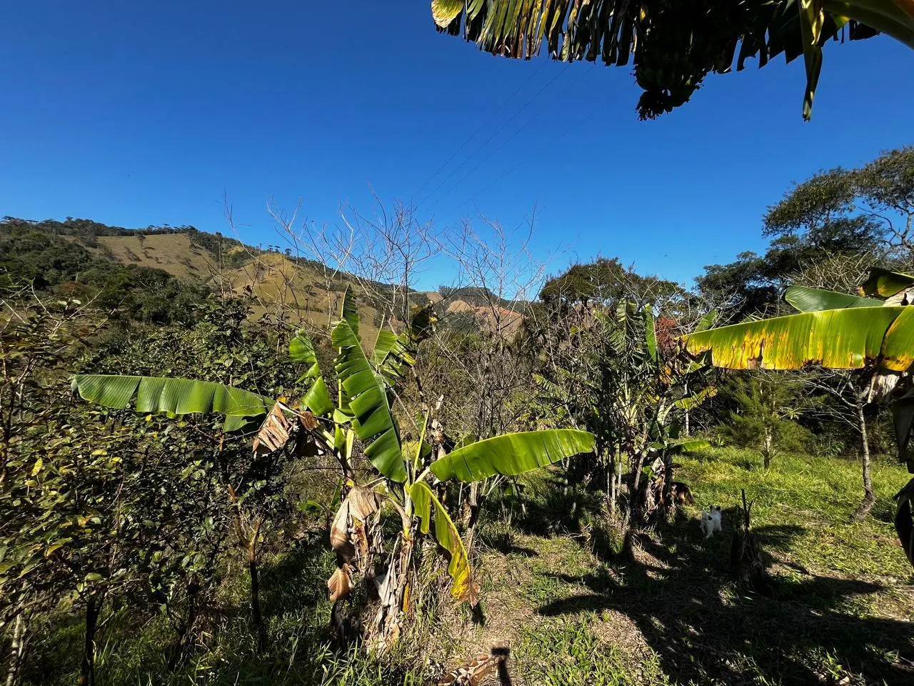 Sítio à venda de 5 ha em Monteiro Lobato, SP, Brasil