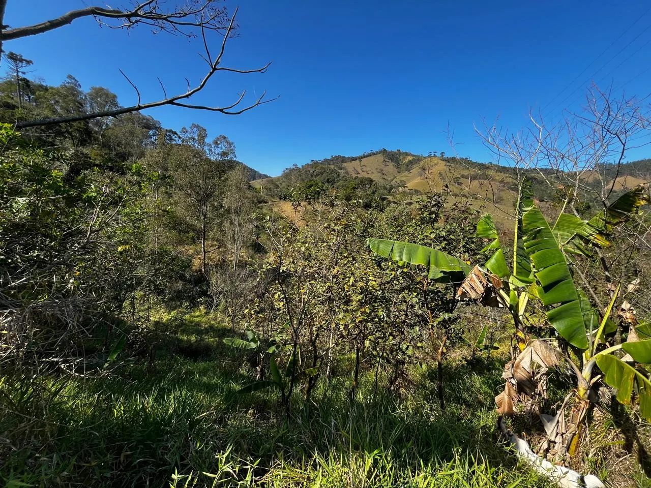 Sítio à venda de 5 ha em Monteiro Lobato, SP, Brasil