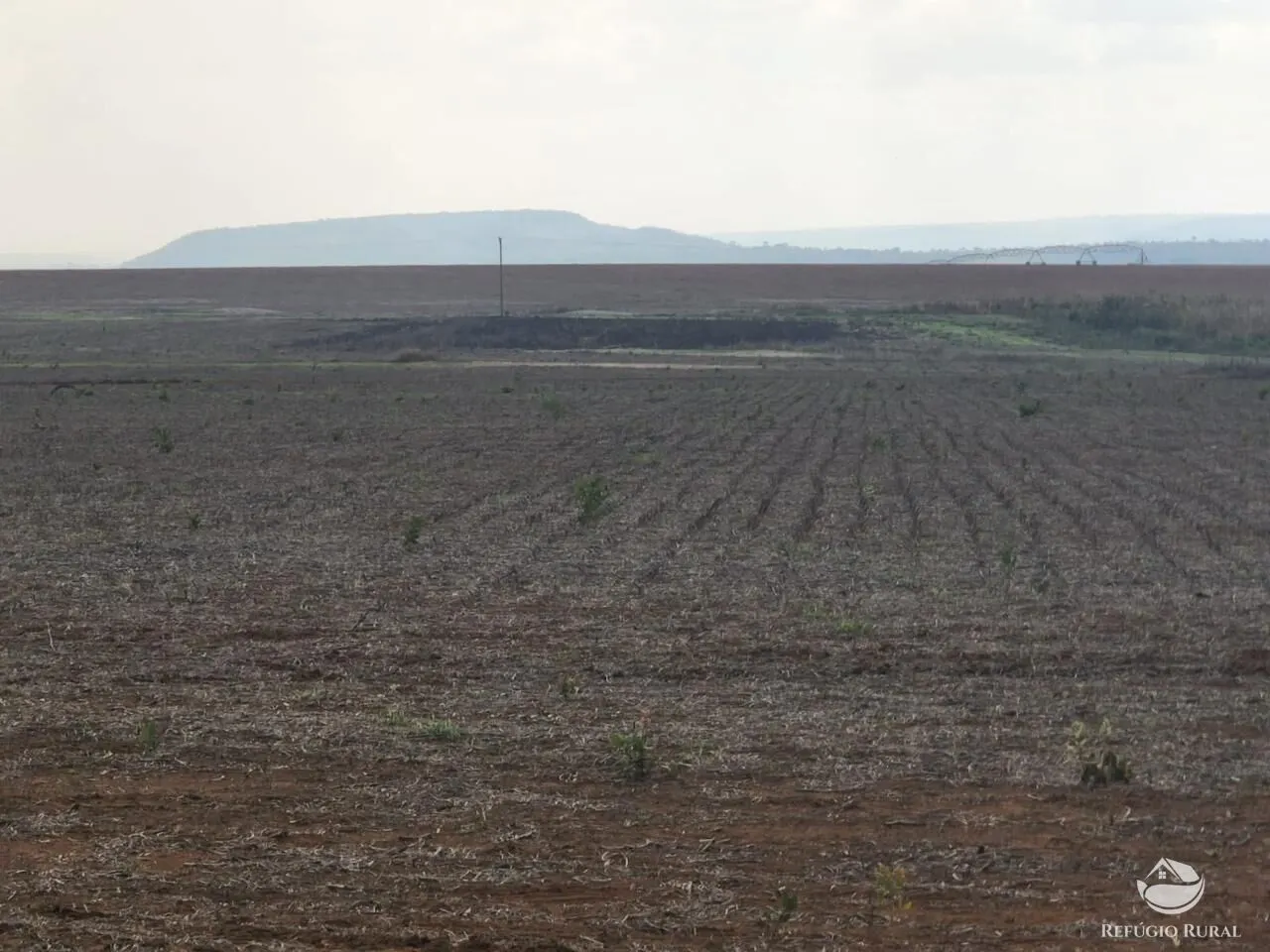 Fazenda à venda de 3.750 ha em Formoso, MG, Brasil