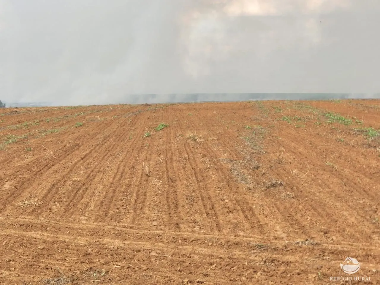 Fazenda à venda de 3.750 ha em Formoso, MG, Brasil