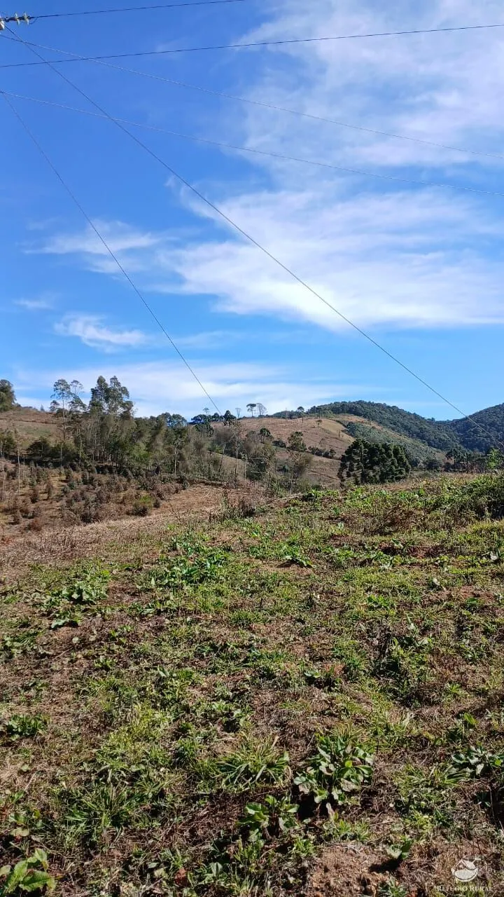 Chácara à venda de 2 ha em Gonçalves, MG, Brasil